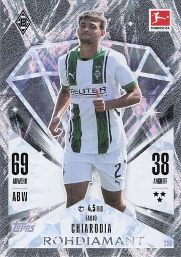 250 Fabio Chiarodia – Rohdiamant ( MABL24/25 )