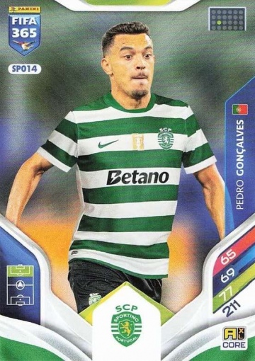 SPO14 Pedro Gonçalves (PF365AXL26)