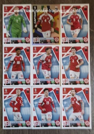 Komplettes Team Dänemark ( Alle 18 ) 