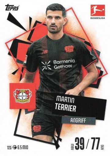 125 Martin Terrier ( MABL25/26 )