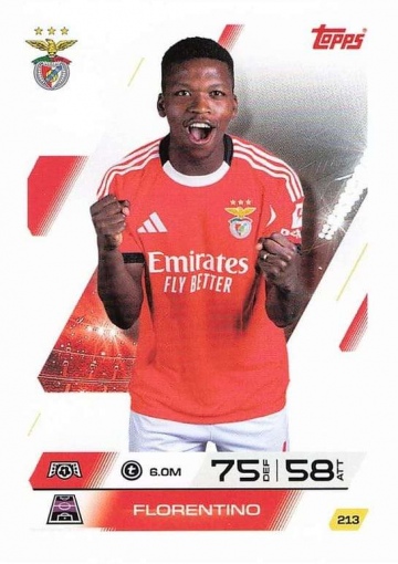 213 Florentino ( MACL25/26 )