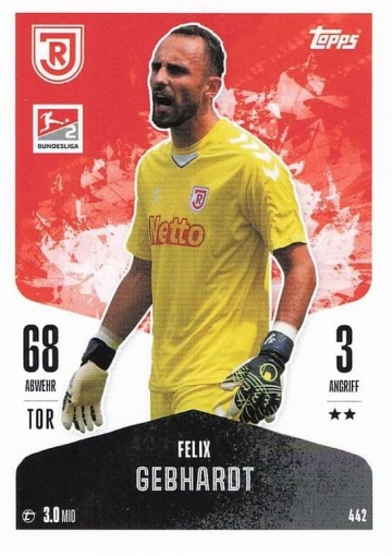 442 Felix Gebhardt (SSV Jahn Regensburg) ( MABL24/25 )