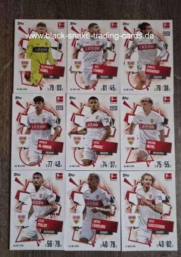 Basis Karten VfB Suttgart ( 163 - 171 ) ( MABL25/26 )