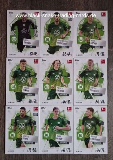 Basis Karten VfL Wolfsburg ( 172 - 180 ) ( MABL25/26 )