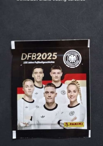 Panini DFB 2025 125 Jahre Fußballgeschichte Sticker Packs (2)