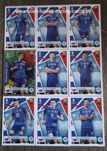 Komplettes Team Slowakei ( Alle 18 )