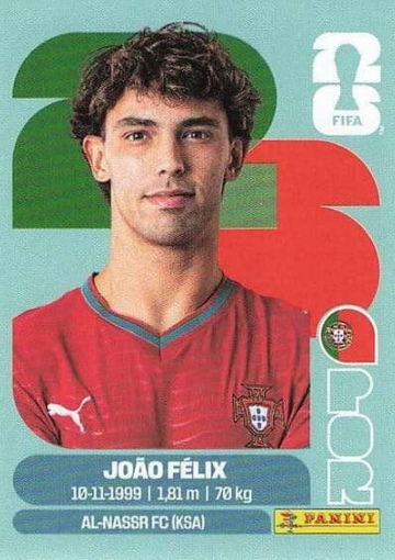 POR17 (PSFWC26)
