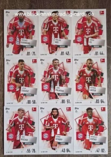 Basis Karten FC Bayern München ( 145 - 153 ) ( MABL25/26 )