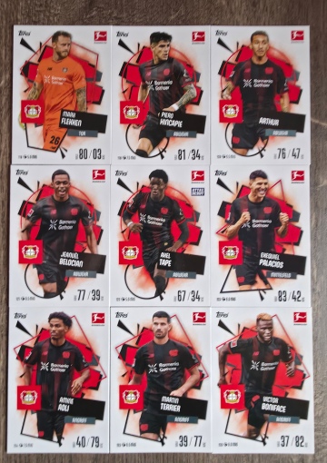 Basis Karten Bayer 04 Leverkusen ( 118 - 126 ) ( MABL25/26 )