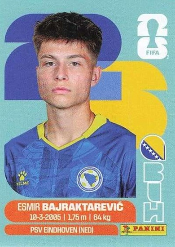 BIH15 (PSFWC26)