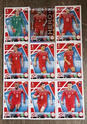 Komplettes Team Schweiz ( Alle 18 )