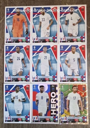 Komplettes Team Frankreich ( Alle 18 )