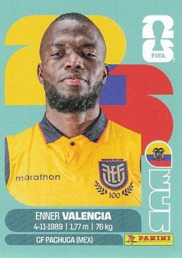 ECU20 (PSFWC26)