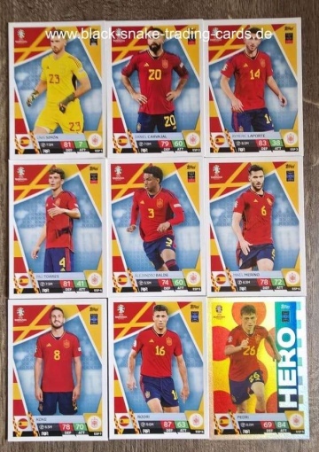 Komplettes Team Spanien ( Alle 18 )